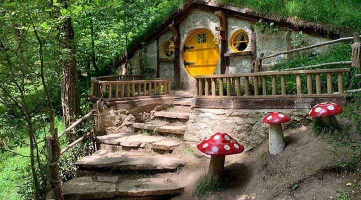 Maşukiye Ormanya Turu